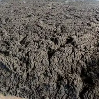 Sludge Drying