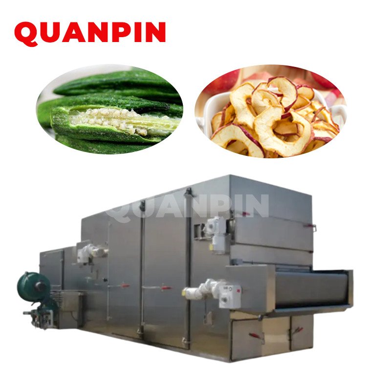 QUANPIN DW series mesh-belt dryer